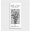 Secret Alchemist : Tone | Body Massage Oil - 100ml