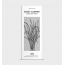 Secret Alchemist : Tone | Body Massage Oil - 50ml
