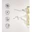 Beplain: Multi Vitamin Ampoule - 30ml