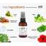 Love Earth: Hair Fall Control Scalp Treatment - 50ml