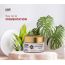 Love Earth: Ayurvedic Moisturizing Cream - 50g