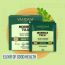 Vahdam Teas: Moringa Tulsi Green Tea 30gm