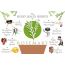 WishCare: Pure Rosemary Essential Oil - 15ml