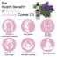 Soulflower: Rosemary Lavender Healthy Hair Oil For Unisex - 120ml
