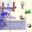 Callesta: Refreshing Lavender and Peppermint Soap - 100gm