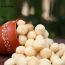 Nutty Gritties: Macadamia Nuts - 100g