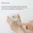 Beauty of Joseon: Dynasty Cream [Renewed Version] | 50ml