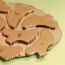 Fit Face : Oh My, Gua Sha