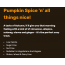 Beanies: Pumpkin Spice Flavour Instant Coffee - 50gm