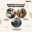 Swisse: Plant Protein - 500 gm