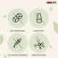 Swisse: Plant Protein - 500 gm