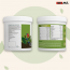Swisse: Plant Protein - 500 gm