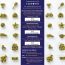 Long & Short: Fun Shapes Veggie Spinach Kids Pasta - Pack of 2 (250gm Each)