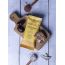 Mighty Millets: Dates Ragi Bars - Pack of 10