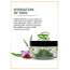 Luxuriate: 100% Pure Natural Organic Aloe Vera Saffron Strands Gel for Enhances Complexion- 100 gm