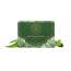 Luxuriate: Naturally Refreshing Aloe Vera and Basil Soaps for Rejuvenatioon of Skin for Men and Women - 125gm