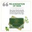 Luxuriate : Naturally Refreshing Aloe Vera and Basil Soaps for Rejuvenatioon of Skin for Men and Women - 125gm