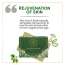 Luxuriate: Naturally Refreshing Aloe Vera and Basil Soaps for Rejuvenatioon of Skin for Men and Women - 125gm