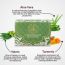 Luxuriate : Neem Turmeric Aloe Vera Spotless Skin Nourishment Soap Bar for Men and Women- 125 ml