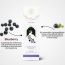Luxuriate: Berry Blast Fragrance Natural and Non-Toxic Incense Sticks - Contains 20 Incense Sticks