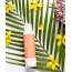Luxuriate: Combo Of Squeeze the day Deodorant Spray, Feeling Floral Deodorant Spray, Woodn't Resist Deodorant Spary & Deep Sea Deodorant Spray -  Pack of 4 - 150 ml each