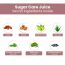 Nutriorg: Sugar Care Juice - 1000 ml