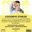 Cocosutra: FOCUS Sugar-Free Drinking Chocolate Mix - 200gm