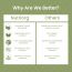 Nutriorg: Certified Organic Stevia Powder - 100 gm