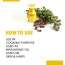 Nutriorg: Certified Organic Castor Oil - 100 ml (Pack of 2)