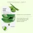 The Face Shop: Real Nature Aloe Face Mask - 20 gm