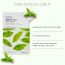The Face Shop: Real Nature Green Tea Face Mask - 20 gm