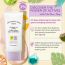 The Face Shop: Natural Eco No Shine Sun Primer - 50 ml