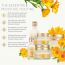 The Face Shop: Calendula Essential Moisture Eye Cream - 20 ml