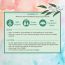 Nat Habit: Pure Eucalyptus Essential Oil - 15ml
