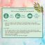 Nat Habit: Pure Tea Tree Essential Oil - 15ml