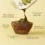 Nat Habit: Ready-to-Apply Henna Paste - 220gm