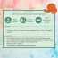 Nat Habit: Pure Sweet Orange Essential Oil - 15ml