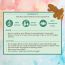 Nat Habit: Pure Turmeric Essential Oil - 15ml