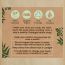 Nat Habit: Kacchi Neem Comb (Fine + Dual Combo),