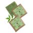 Nat Habit: Sacred Neem Basil Soap - 125gm (Twin Pack of 2)