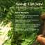 Nat Habit: Neem Bhringraj Anti Dandruff Summer Dasabuti Hair Oil - 100 ml