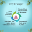 Floren: Reusable Menstrual Cup (Large) with Intimate wash (100ml) combo for Women | Ultra Soft, Odour and Rash Free | 100% Medical Grade Silicone | No Leakage | Protection for Up to 8-10 Hours