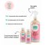 Born Good: Glass & Multi-Surface cleaner concentrate Kit