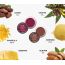 Love Earth: Lip Tint & Cheek Tint Multipot Combo (Raspberry Pink & Caramel Brown) with Richness of Jojoba Oil and Vitamin E for Lips, Eyelids and Cheeks