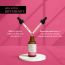 Deconstruct Skincare: Breakout Control D.S. Serum- 8% Pad + 5% Succinic Acid - 30ml