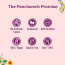Panchamrit: Triphala Lime Flavour Effervescent Tablets - 20 Tablets