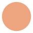 Color Chemistry: Cream Concealer - Bamboo -  2.98 gm