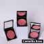 Wearified: Soft Focus Buildable Blush - Camellia Rose & Brush