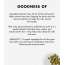Beplain: Greenful Balancing Toner - 50ml