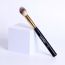 Wearified: Absolute Essentials Makeup Brushes - Set Of 6 for Face